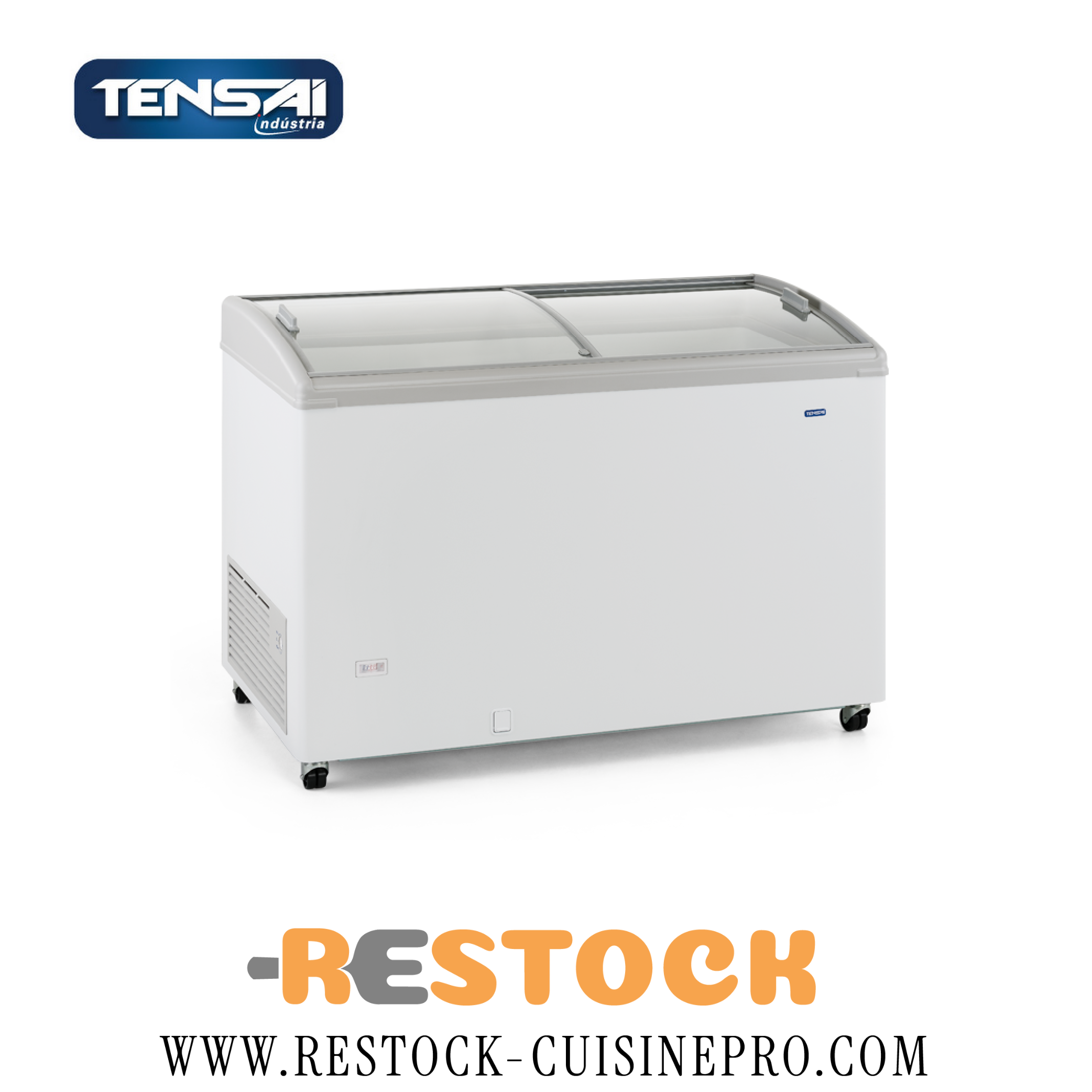 CONSERVATEUR A GLACE 300L TCHC300GN