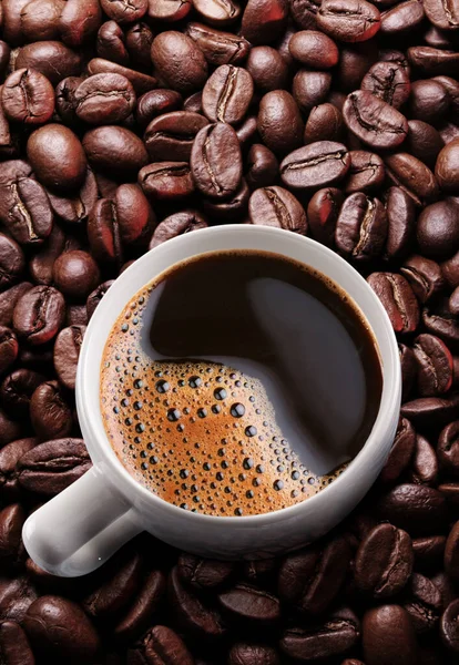 Matériel et ustensiles pour projet de café restaurant Maroc